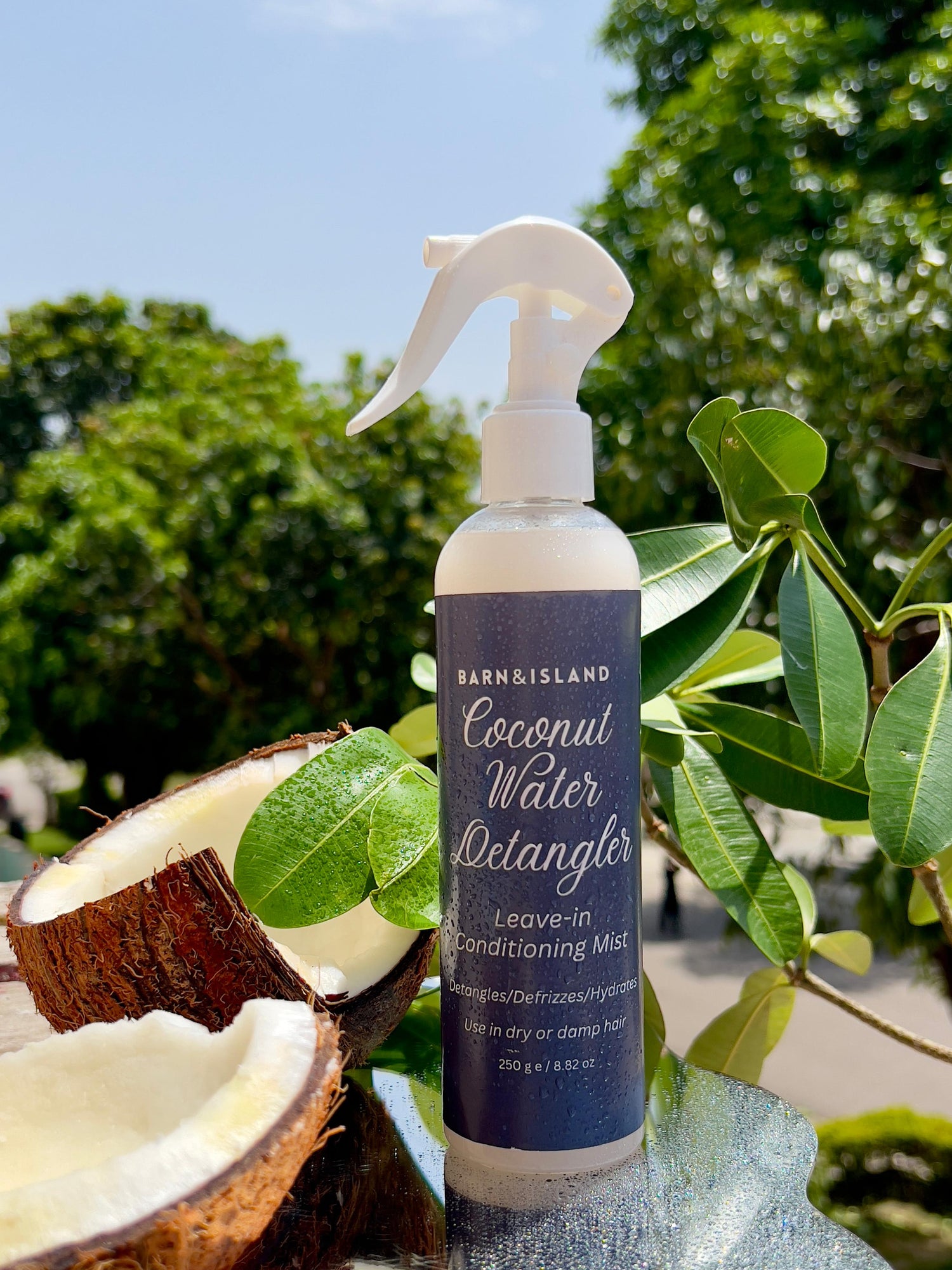 Coconut Water Detangler