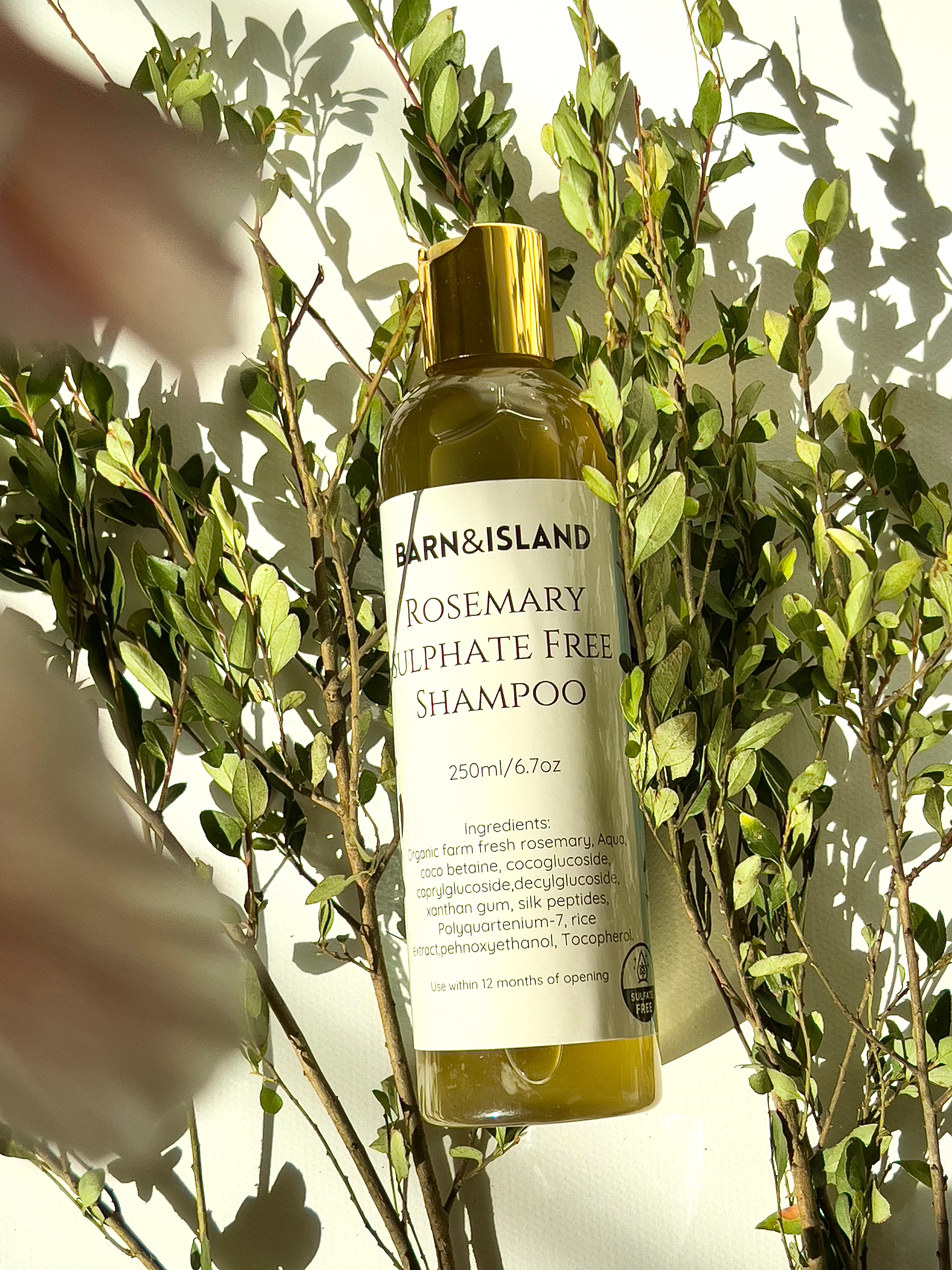 Buy 3 get 1 free. Rosemary Shampoo