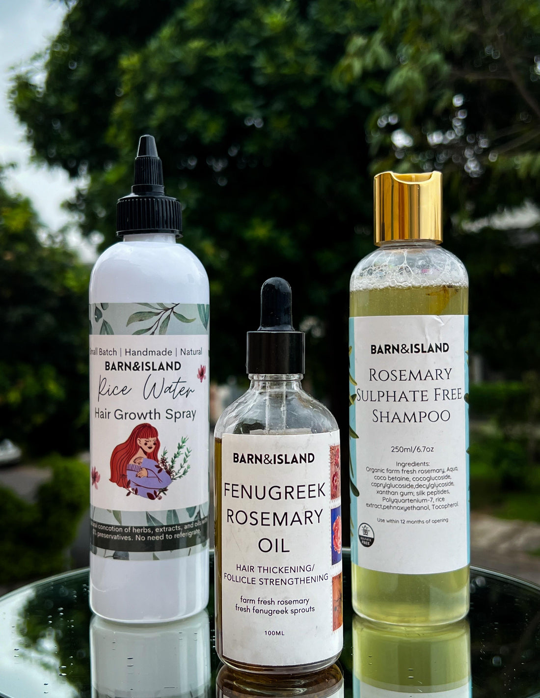 Bestsellers Bundle