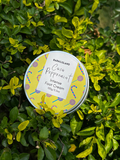 Coco Peppermint Foot Cream
